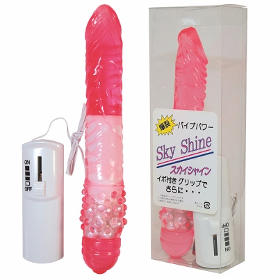 �X�J�C�V���C���i�r�A���j